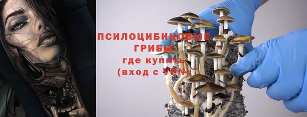 Альфа ПВП Армянск