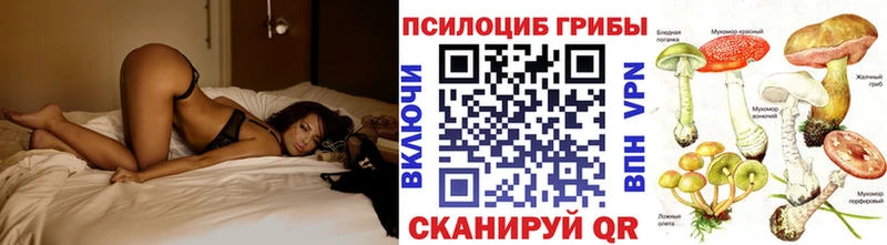 Галлюциногенные грибы мицелий Краснодар