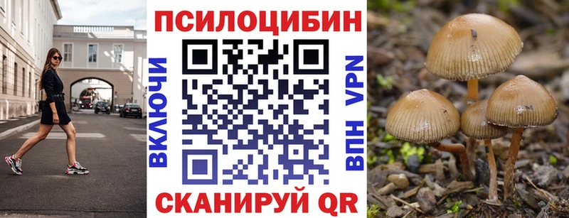 Псилоцибиновые грибы прущие грибы  хочу   Краснодар 
